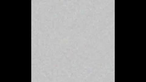 _maccaa_ online show from December 2025 12:11:02 PM