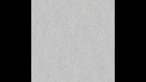 _maccaa_ online show from January 2026 11:38:02 AM