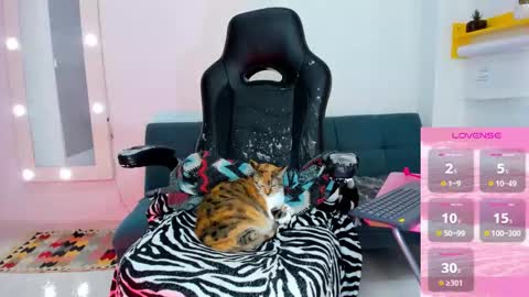 Snapshot of _megganjobs chatting on February 2026 06:02:02 PM Juli online show from February 2026 06:02:02 PM