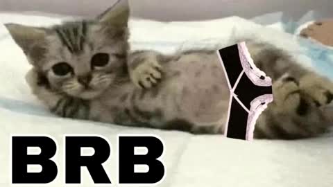 miko3 online show from December 2025 11:25:02 PM