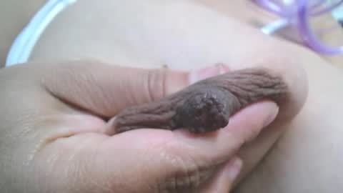  Mia  online show from March 2025 07:27:02 PM