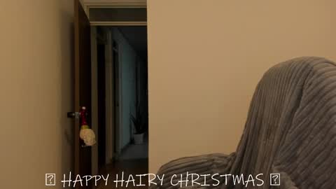 Snapshot of _miss_coco_ chatting on December 2024 12:48:02 AM _miss_coco_ online show from December 2024 12:48:02 AM