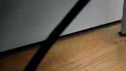 _nicetobehere_ online show from January 2026 01:04:01 PM