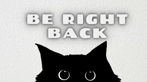 Snapshot of _rachell1 chatting on February 2026 11:08:01 PM Stefany online show from February 2026 11:08:01 PM