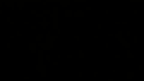 Melisa online show from February 2025 02:46:01 PM