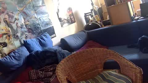 Sven online show from October 2025 11:07:01 AM