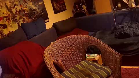 Sven online show from November 2025 05:36:02 PM