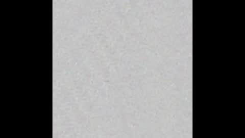    online show from January 2026 10:29:01 AM