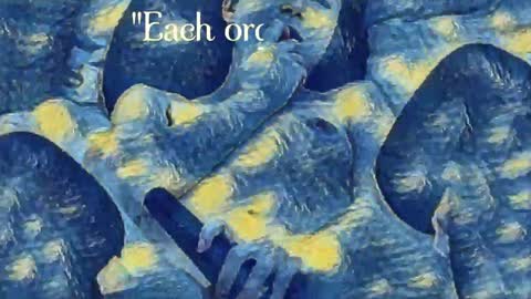 Evi online show from December 2024 10:49:02 PM