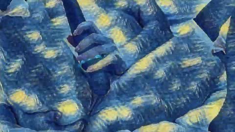 Evi online show from January 2025 03:29:02 AM