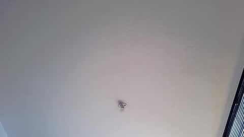 Martina online show from January 2025 01:48:01 PM