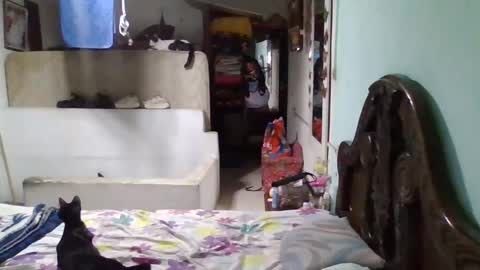 Snapshot of abbyasher chatting on January 2025 11:50:02 PM Abby online show from January 2025 11:50:02 PM