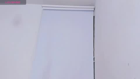 Snapshot of abbyh chatting on February 2025 04:58:01 AM abbyh online show from February 2025 04:58:01 AM