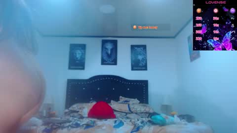 abbyshinne online show from February 2026 04:03:02 PM