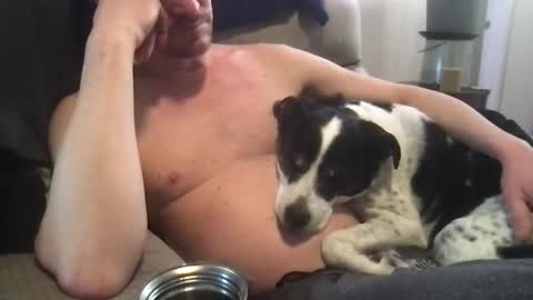 abe_froman2007 online show from March 2025 10:13:02 PM