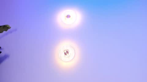 Abi online show from September 2025 02:05:02 AM