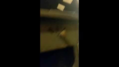 adam000985057 online show from January 2025 02:04:02 AM