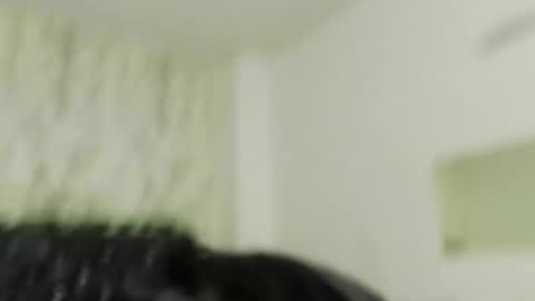 adam_morgan2 online show from December 2025 11:50:01 AM