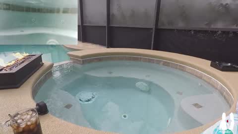 Adam And Eve online show from December 2024 05:32:01 PM