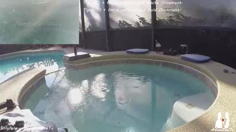 Adam And Eve online show from December 2025 07:54:02 PM