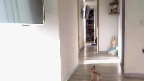 eva online show from September 2025 12:16:01 PM