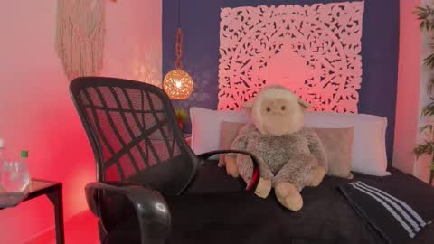 adonis_wb online show from January 2026 04:39:02 AM