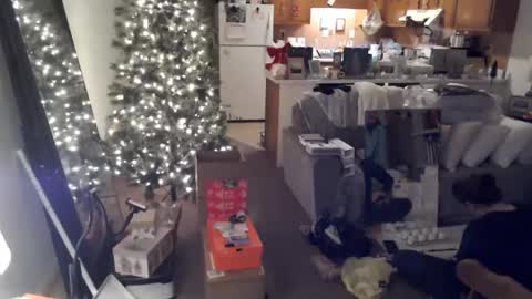 adorable22 online show from December 2024 10:22:01 PM