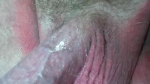 This is a temp room please follow excelsior62 by clicking the link below online show from December 2024 07:17:01 AM