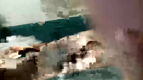 adrodiarellano online show from October 2025 02:22:02 AM