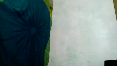 Snapshot of aelyaa chatting on June 2026 04:58:01 AM aelyaa online show from June 2026 04:58:01 AM