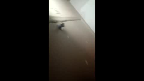 Snapshot of afnuke000 chatting on March 2026 09:15:01 AM afnuke000 online show from March 2026 09:15:01 AM