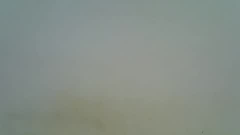 afronubians online show from March 2025 08:37:02 PM