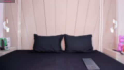 Snapshot of agatha_steel20 chatting on January 2025 07:13:02 PM Agatha Steel online show from January 2025 07:13:02 PM