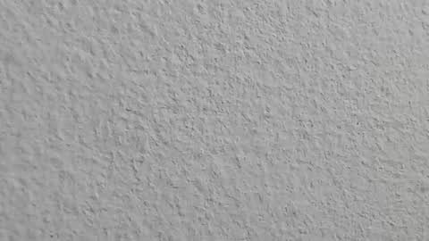 Snapshot of agnes_jones chatting on November 2025 07:57:02 PM agnes_jones online show from November 2025 07:57:02 PM