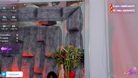 Snapshot of aivadumont chatting on December 2024 02:14:02 AM Queen Dumont online show from December 2024 02:14:02 AM