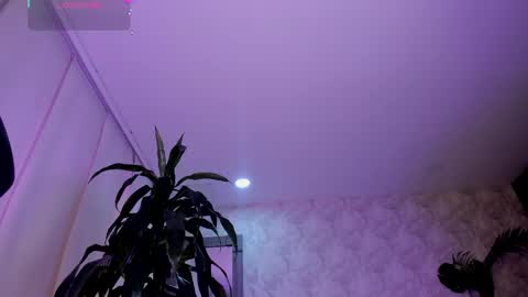 Snapshot of alaiaguerra chatting on May 2026 08:06:01 PM alaiaguerra online show from May 2026 08:06:01 PM