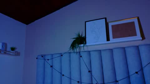  Alaia  online show from January 2026 11:37:02 AM