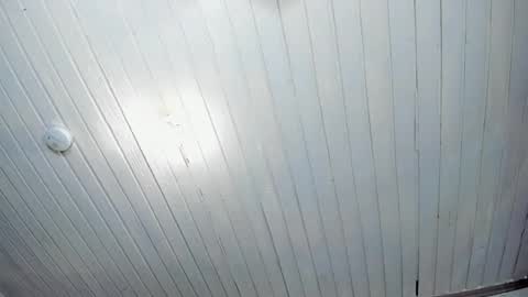 ---Alan--- online show from February 2025 05:43:02 AM