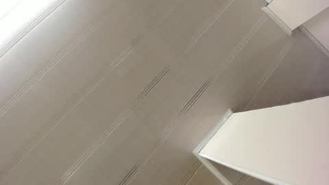 Maeve  online show from January 2025 10:54:01 AM