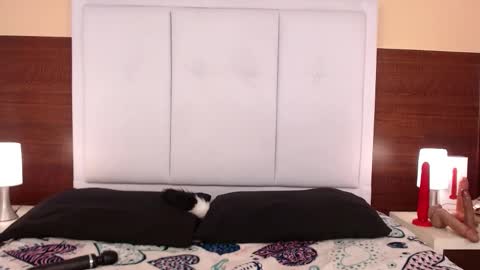 Snapshot of alanagh_ chatting on October 2025 03:58:02 AM alana online show from October 2025 03:58:02 AM