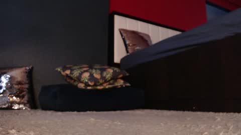 Alanna online show from January 2025 05:20:02 AM