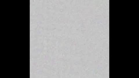 alexa online show from December 2024 08:05:01 AM