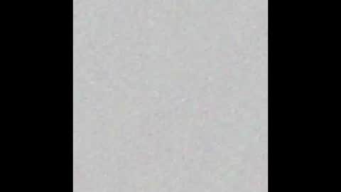 aleec_nyx online show from September 2025 12:49:02 PM