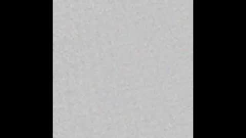 aleec_nyx online show from November 2025 11:31:02 AM