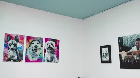 Snapshot of aleja1214 chatting on January 2025 06:47:01 PM Alejandra online show from January 2025 06:47:01 PM