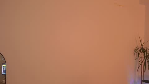 Ale online show from January 2025 02:41:01 AM