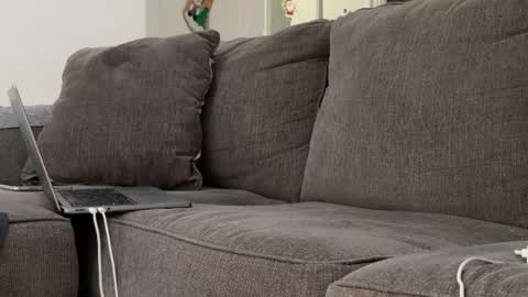 Snapshot of alex_ruiz_ chatting on November 2025 06:53:02 PM Alex online show from November 2025 06:53:02 PM