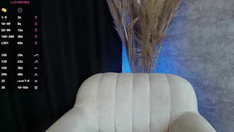 Snapshot of alexa_foxx27 chatting on January 2026 07:49:02 PM alexa_foxx27 online show from January 2026 07:49:02 PM