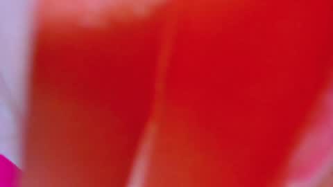 Snapshot of alexandramaravilla chatting on February 2025 08:02:02 AM ALEXANDRA online show from February 2025 08:02:02 AM