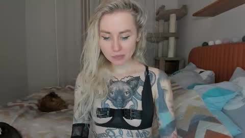 alexarush online show from October 2025 05:54:02 PM